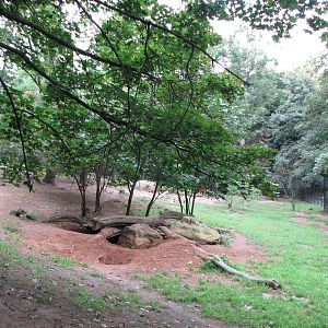Zoo Praha - Massive wolf enclosure