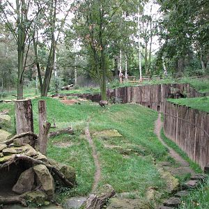 Zoo Praha - Part of the large Brown Hyena exhibit
