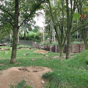 Zoo Praha - Large Brown Hyena exhibit