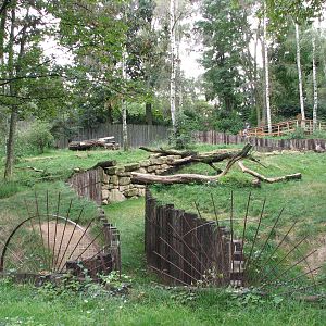 Zoo Praha - Large Brown Hyena exhibit