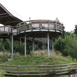 Zoo Praha - Viewing deck at the Savannah