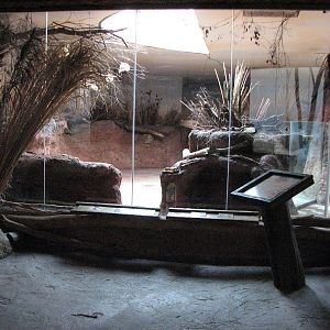 Zoo Praha - Aardvark exhibit