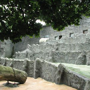 Zoo Praha - Polar Bear exhibit