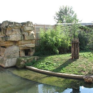 Zoo Praha - One part of the Sumatran Tiger exhibit