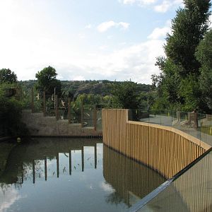 Zoo Praha - Second part of the Sumatran Tiger exhibit