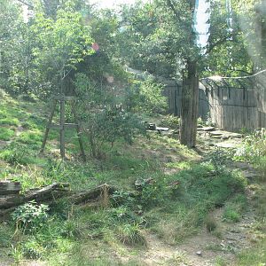 Zoo Praha - Siberian Tiger exhibit