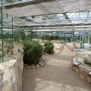 "Mediterraneum" inside view -Zoo Plzeň (2025)