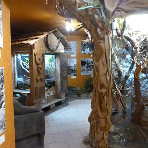 Hanzelka and Zikmund museum -Zoo Plzeň (2025)