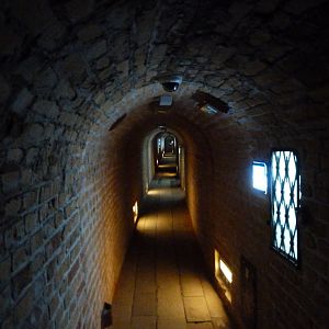 View of "Underground world" -Zoo Plzeň (2025)