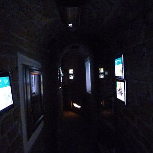 View of "Underground world" -Zoo Plzeň (2025)