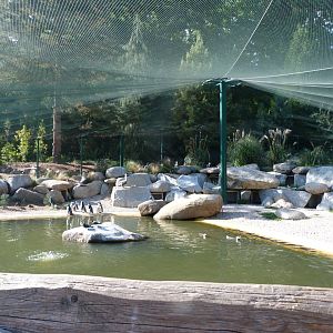 Coastal aviary -Zoo Plzeň (2025)