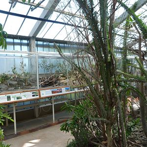 "World of Drought" view -Zoo Plzeň (2025)