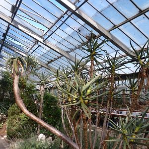 "World of Drought" view -Zoo Plzeň (2025)