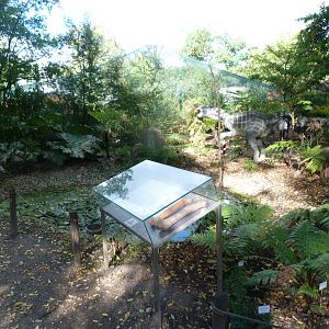 Fern display with dinosaur model -Zoo Plzeň (2025)