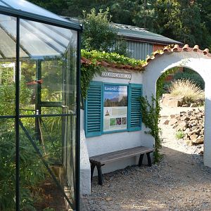 Macaronesian display -Zoo Plzeň (2025)