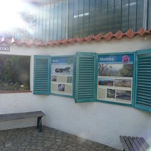 Macaronesian display -Zoo Plzeň (2025)