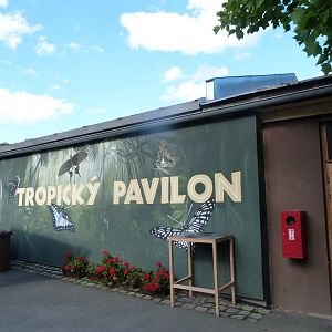 Entrance to the Tropical Pavillion -Zoo Plzeň (2025)