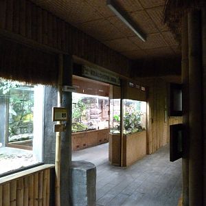 Tropical Pavillion indoors view -Zoo Plzeň (2025)