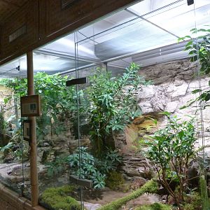 Venomous snake exhibits -Zoo Plzeň (2025)