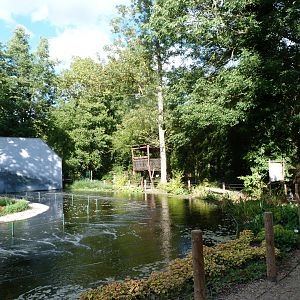 Common chimpanzee exhibit -Zoo Plzeň (2025)