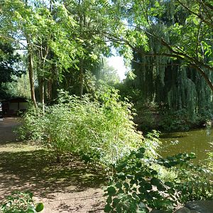 Macropod, pelican and waterfowl exhibits -Zoo Plzeň (2025)