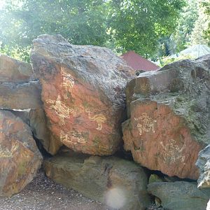 Australian themeing -Zoo Plzeň (2025)