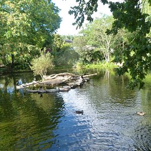 Macropod, pelican and waterfowl exhibits -Zoo Plzeň (2025)