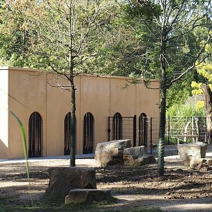 Dorcas gazelle side of the new smaller African hoofstock building, 2025-09-06