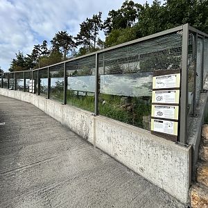 Native Reptile Exhibits
