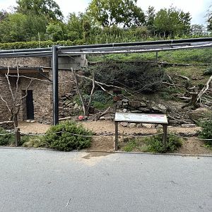 Kea Aviary - Rakos House