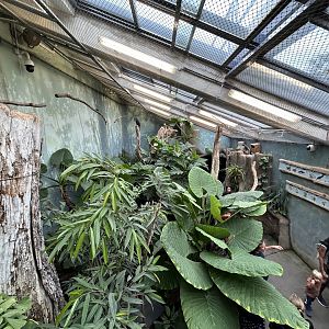 Free-flight Room - Rakos House