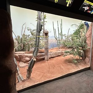 Desert Exhibit - Rakos House