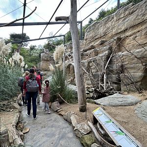 Walkthrough Parakeet Aviary - Rakos House