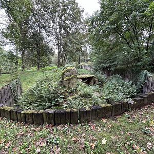 Brown Hyena Exhibit #1