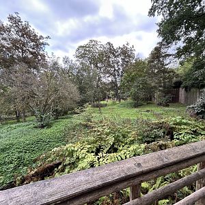 Brown Hyena Exhibit #2