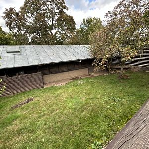 Reeve’s Muntjac Exhibit