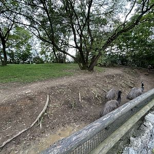 Emu Exhibit