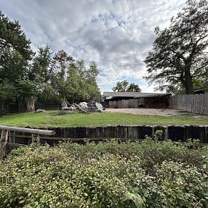 Mishmi Takin Exhibit