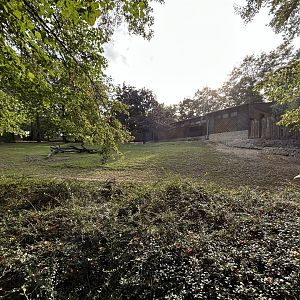 Javan Rusa & Reeve’s Muntjac Exhibit