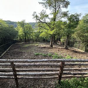 Thorold’s Deer Exhibit