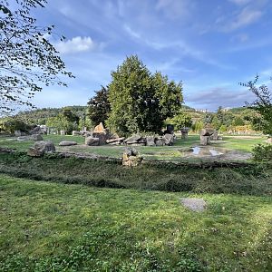 Asian Elephant Exhibit #1