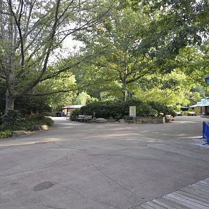 Africa - Akiba Market