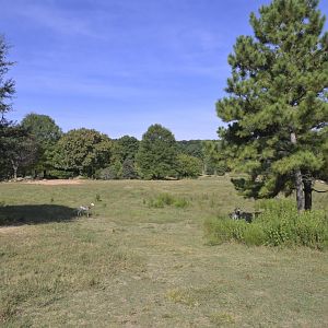 Watani Grasslands Reserve - Landscape