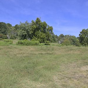 Watani Grasslands Reserve - Landscape