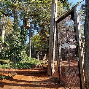 Australian walkthrough aviary
