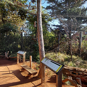 Australian walkthrough aviary