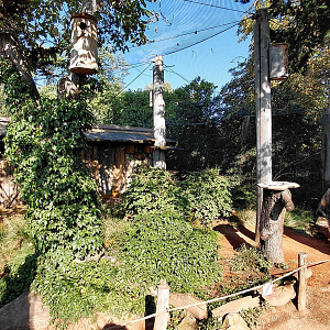 Australian walkthrough aviary