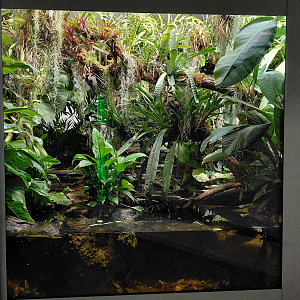 Mixed exhibit in Artenschutz house