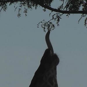 So close I can feel it