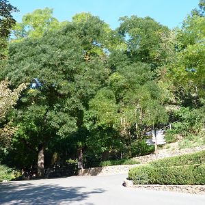 First view at the entrance -Zoo Praha (2025)